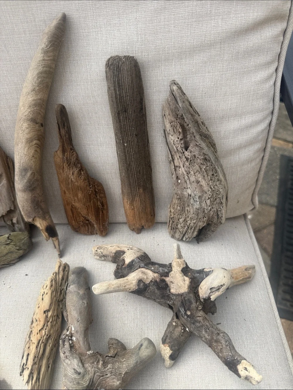 19 pc (5 lb shipped) Natural Driftwood for Craft, Projects, Upcycle& Decor